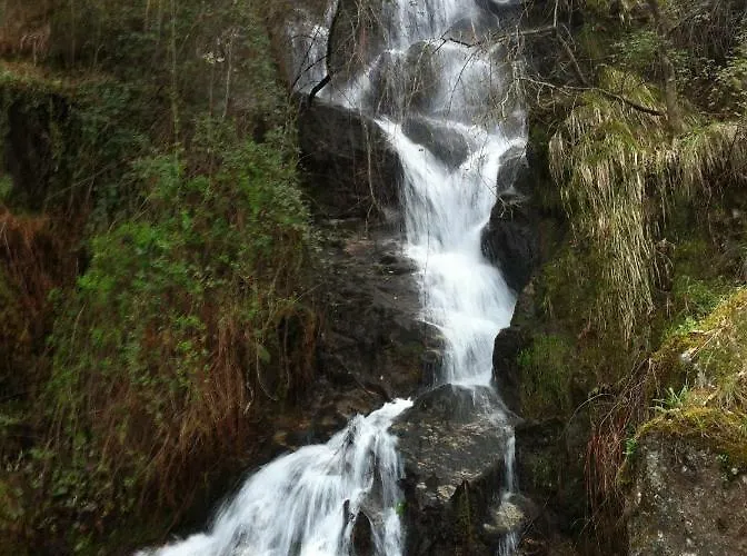 Casa Da Luz * 비에이라도미노